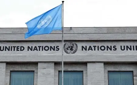 BM: Rojava’daki İhlaller Sürüyor, Sorumlular Hesap Vermeli