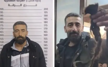 Rakka’da YPJ'li Savaşçının “Saç Örgüsü” Videosunu Paylaşan Rami Al-Dahsh Tutuklandı