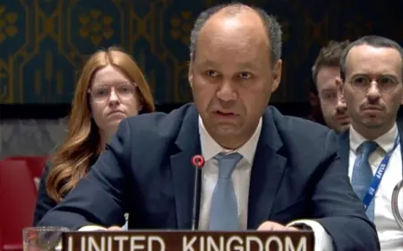 İngiltere’nin BM Temsilcisi’nden Sykes-Picot ve Kürtlerin statüsü sorularına yanıt