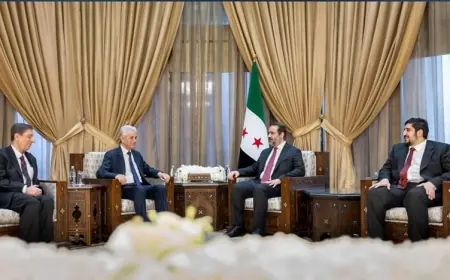 Eshed Şeybanî û şandeya ENKSyê li hev civiyan