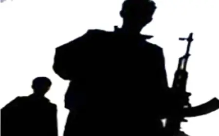 Sedema neyekrêziya Kurdistaniyan û pkk çiye???