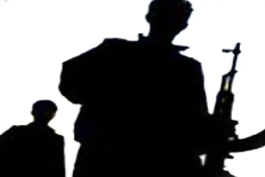 Sedema neyekrêziya Kurdistaniyan û pkk çiye???