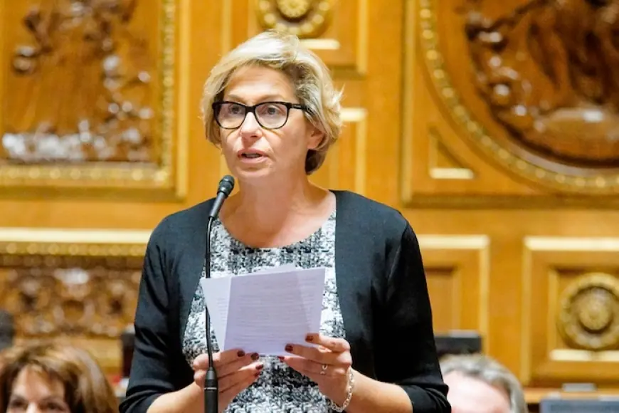 Fransız Senatörden Rojava Uyarısı: “Kürtlerin Terk Edilmesi Avrupa’nın Güvenliğini Zayıflatır”