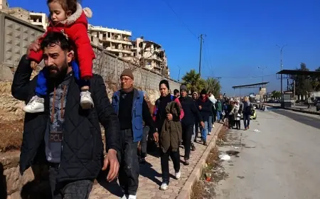 Yaşar Bazancir: Statümü, Hayatta Kalma Refleksimi?