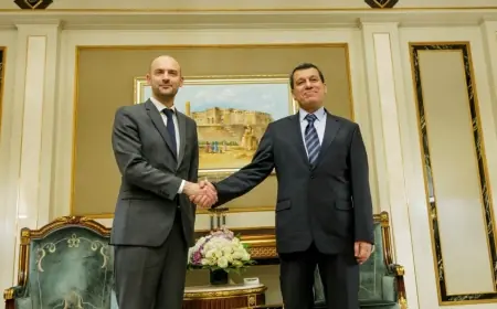 Al-Monitor Analizi: Şam ile DSG Anlaşmasında Fransa Faktörü