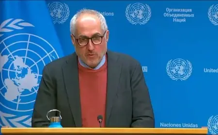 BM: Kobani'deki yağma iddialarını inceliyoruz