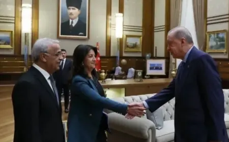 İmralı Heyeti üyeleri Erdoğan ile görüşecek