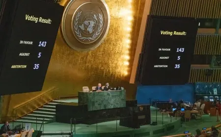 'Kurallara dayalı düzen' gömülüyor: Peki yerine ne gelecek?