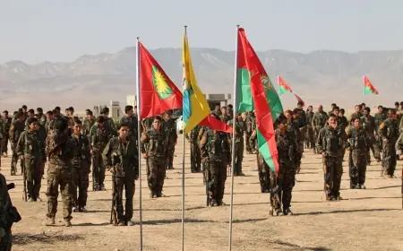 Ezidi Milletvekili'nden Şengal Açıklaması: “Ezidî Silahlı Güçler Irak Resmi Güçleri'ne Entegre Edilecek"