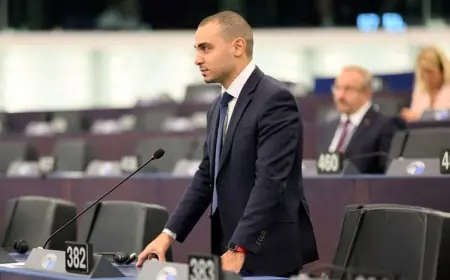 AP Milletvekili: Kürtler bizim için can verdi, AB haklarını korumalı