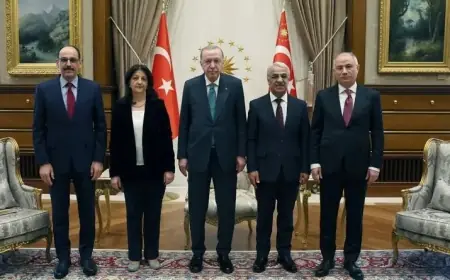 DEM Parti İmralı Heyeti'nden Erdoğan görüşmesine ilişkin açıklama