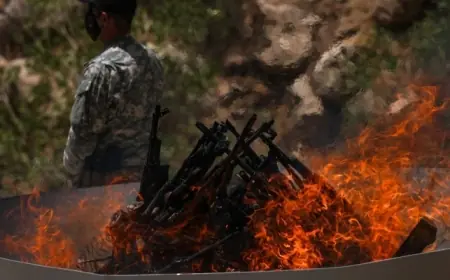 İddia: Silah bırakanlara 5 yıl adli kontrol şartı