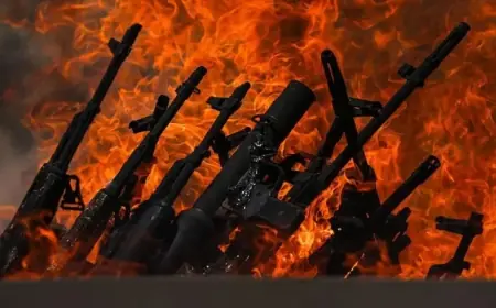 Süreç raporunun detayları ortaya çıktı: Silah bırakma, izleme ve adli kontrol modeli