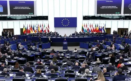 AP'nin Türkiye raporunda çözüm sürecine destek