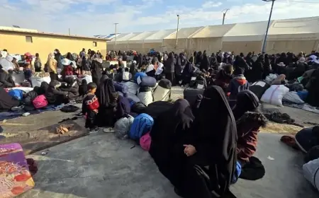 Hikûmeta Sûriyeyê Kampa Holê girt