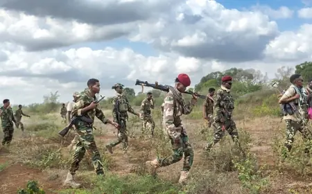 Somali bölgesel bir çatışma sahasına mı dönüşüyor?