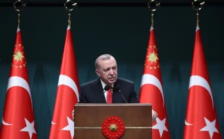 Erdogan: Pêvajo bi gavên saxlem ber bi armanca xwe ve diçe