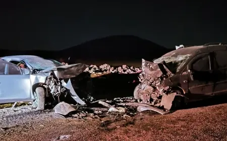 Li Amedê qeza: 5 kes mirin û 2 kes jî birîndar bûn