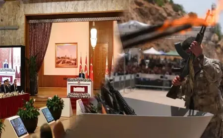 Mustafa Yelkenli: Dağ Fare mi Doğurdu?