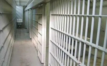 Hengaw: Merivan Cezaevindeki Tutuklular Serbest Bırakıldı