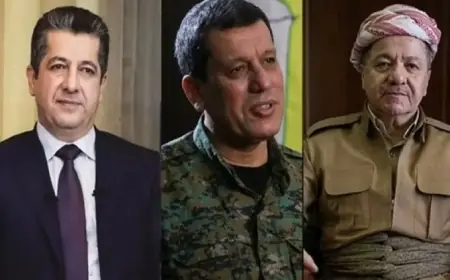 HSD: Mezlûm Ebdî danûstandin bi Serok Barzanî û Mesrûr Barzanî re kirin