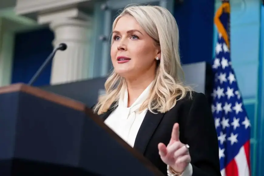 Beyaz Saray, Kürt gruplara silah verileceği iddiasını yalanladı