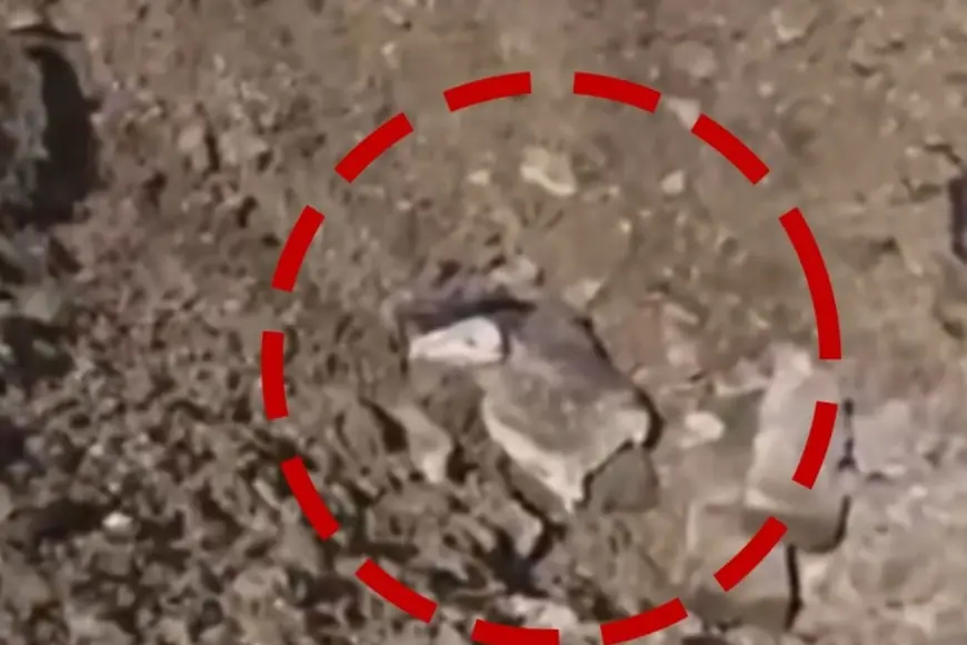 Çoman'da üç İHA düştü