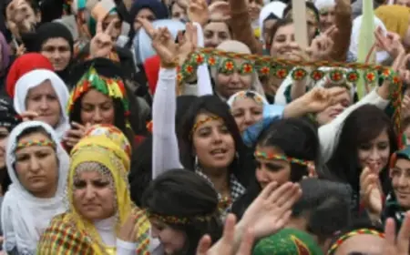 Herhangi Bir Platform Girişimine Dair