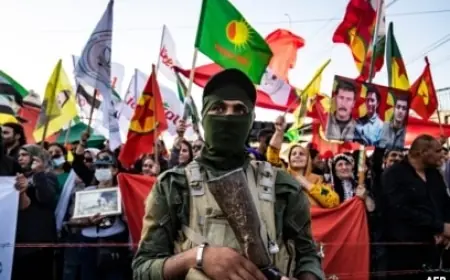 Yeni Örgütlenme Çabaları ve Kalıtımsal Acılar