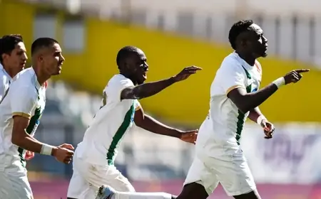 Amedspor İstanbul’da farklı kazandı