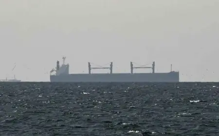 Güney Kore Hürmüz Boğazı’na Savaş Gemisi Göndermeyi Değerlendiriyor