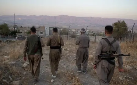 Kürtlere Akıl Veren Verene?