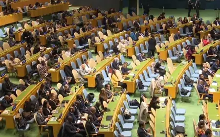 Birleşmiş Milletler'den tarihi karar: Siyahilerin köleleştirilmesi 'insanlığa karşı en büyük suç' ilan edildi