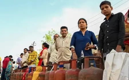 Küresel enerji kriziyle hangi ülke nasıl başa çıkıyor?