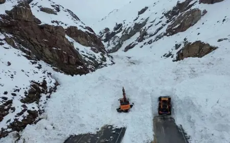 Van-Hakkari kara yoluna çığ düştü