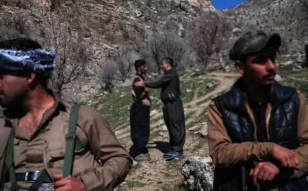 Rojhılatlı Kürtlerin kara harekâtı neden rafa kalktı?