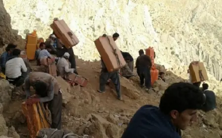 Savaşın en sessiz mağduru: Kolberler