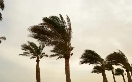 Mısır’da Son Günlerde Görülen 3 Gizemli Olayın Bilimsel Açıklaması