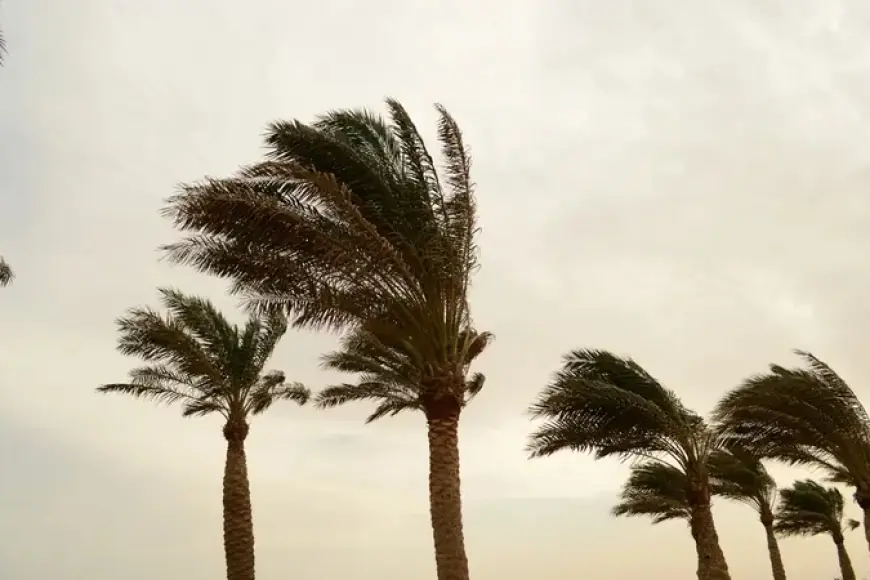 Mısır’da Son Günlerde Görülen 3 Gizemli Olayın Bilimsel Açıklaması