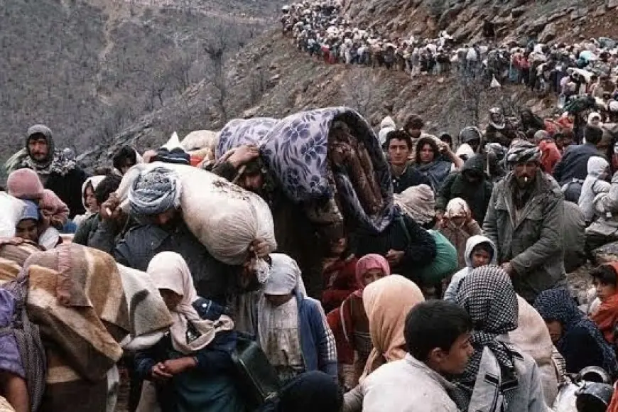 688 Sayılı Karar: Bir Halkın Kaderini Değiştiren Adım