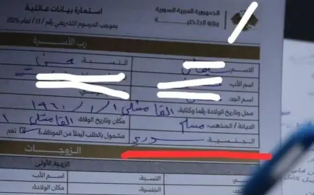 Rojava’da nüfus kayıt işlemleri: Kürtler 'Arap Suriyeli' yazıldı, sonra düzeltildi