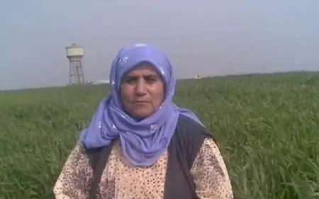 Selahattin Demirtaş Neyi Değiştirecek?