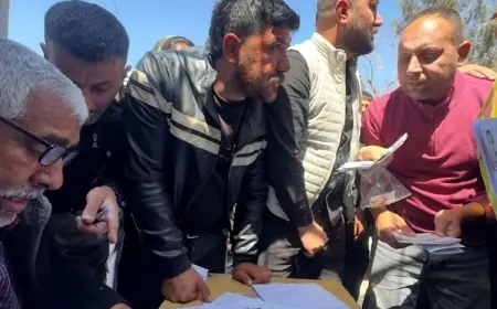 Suriyeli yetkili: Kimliklerde 'Suriyeli Arap' ifadesi başvuru sahiplerinin hatası