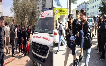 Toplumsal Mafyatikleşme