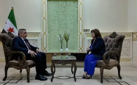 Haseke Valisi: Özerk Yönetim çalışanları devlete entegre edilecek, Kürtler bakan olabilecek