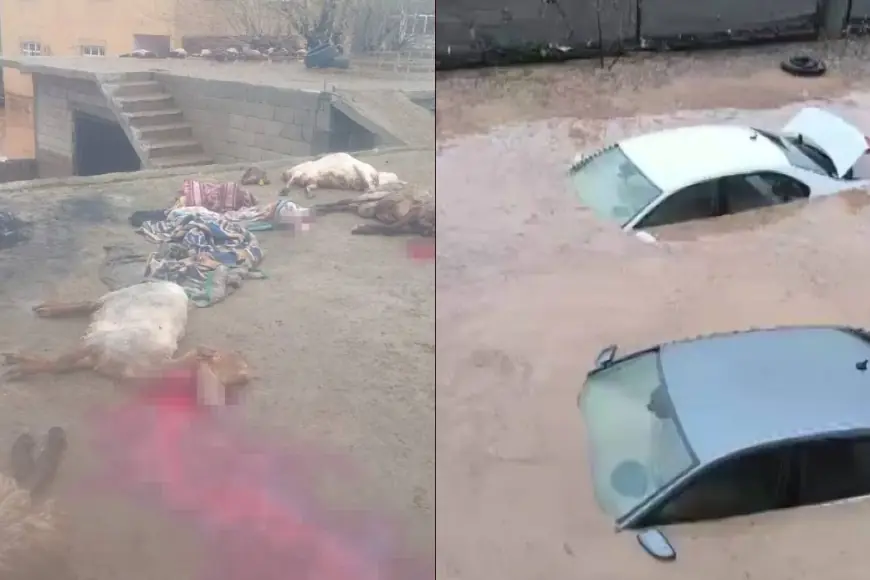 Siirt’te sel felaketi: Araçlar kayboldu, onlarca hayvan telef oldu