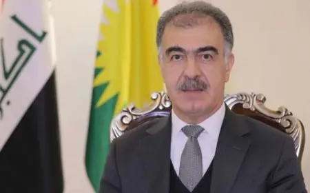 Sefîn Dizeyî: Em dê helwesta Herêma Kurdistanê bigihînin Yekîtiya Ewropayê