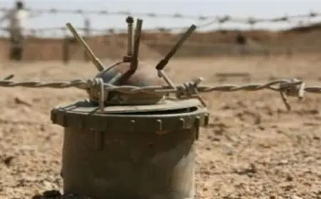 Kürdistan Bölgesi'nde 500 kilometrekareden fazla alan mayından temizlendi