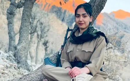 Kürd Meselesi, Yapısal Şiddet ve Kurumsal Çürüme