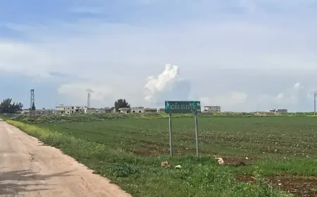 Afrin’de Harabeye Dönen Kürt Köyü: Cilbirê’nin Sessiz Tanıklığı